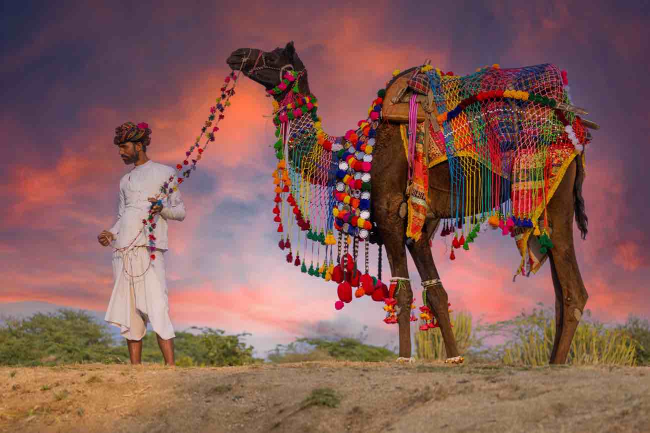 India: la Fiera di Pushkar